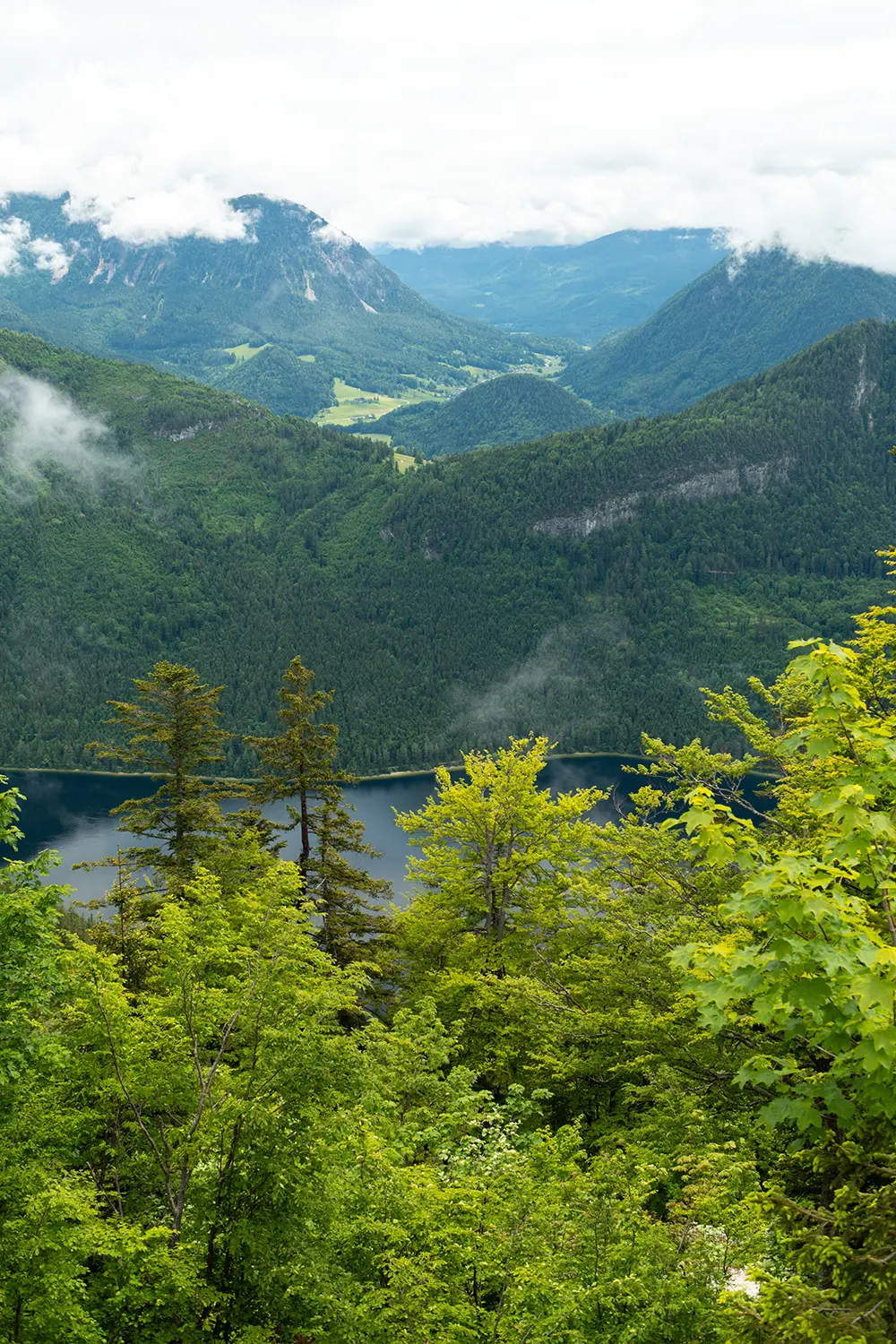 Steiermark